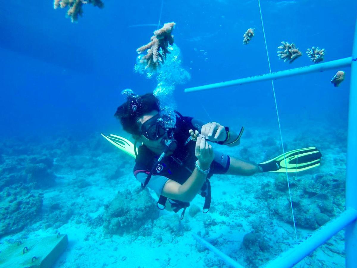 The Barefoot Eco Hotel Hanimaadhoo Island Bagian luar foto