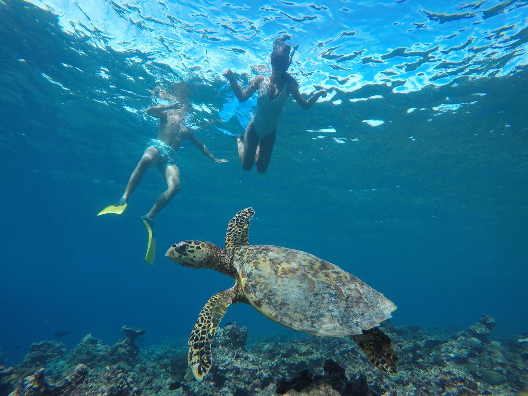 The Barefoot Eco Hotel Hanimaadhoo Island Bagian luar foto